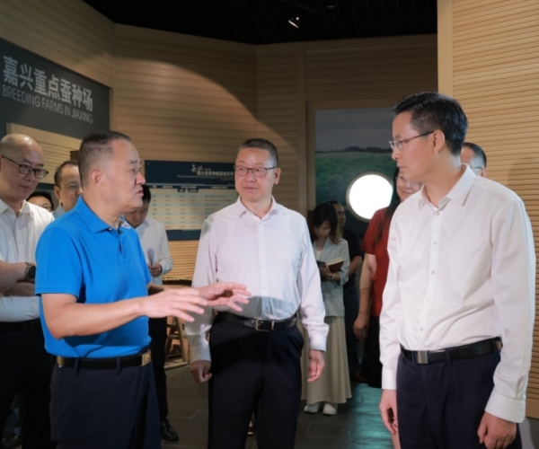 陈伟书记莅临调研历史经典工业提质生长事情