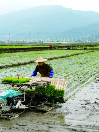 凯时登录·(中国)集团官网